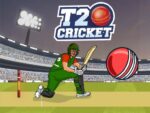 T20 Kriket